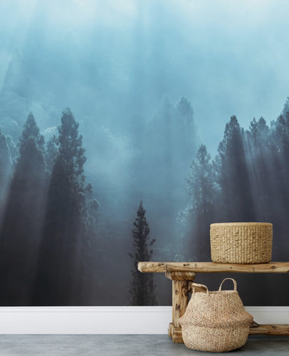 bosque brumoso con rayos de sol cayendo fondo de pantalla bosque brumoso con rayos de sol cayendo fondo de pantalla