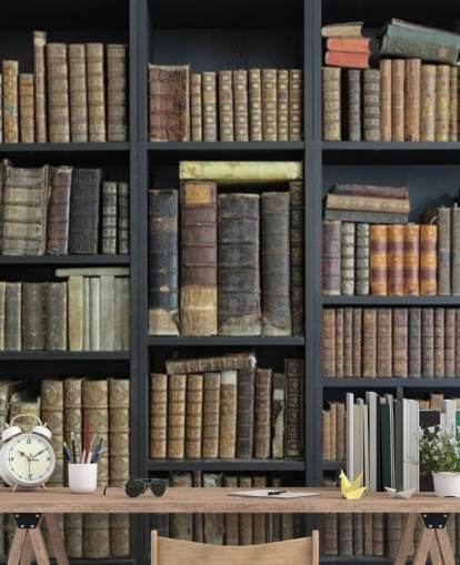libros vintage en estantes fondo de pantalla