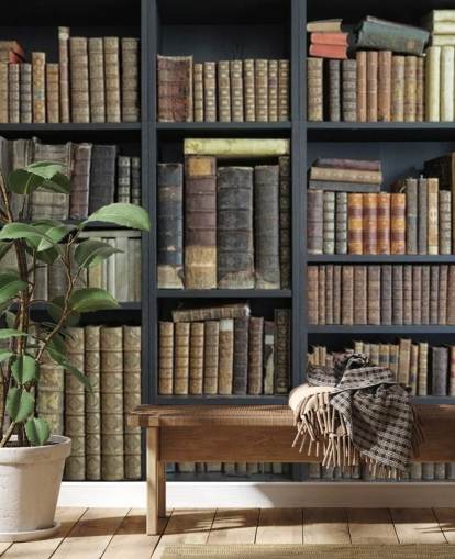 libri vintage su scaffali carta da parati