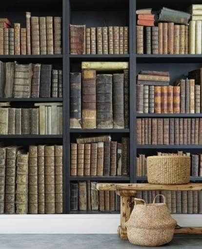 libros vintage en estantes fondo de pantalla