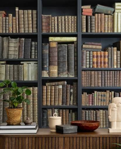 libros vintage en estantes fondo de pantalla