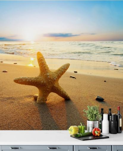 Star Fish op strandmuurmuurschildering