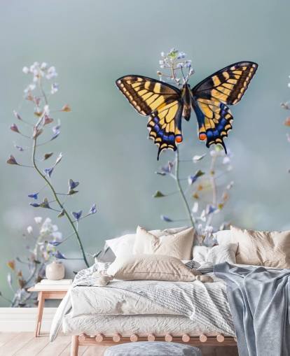 orange and blue butterfly resting on flowers wallpaper