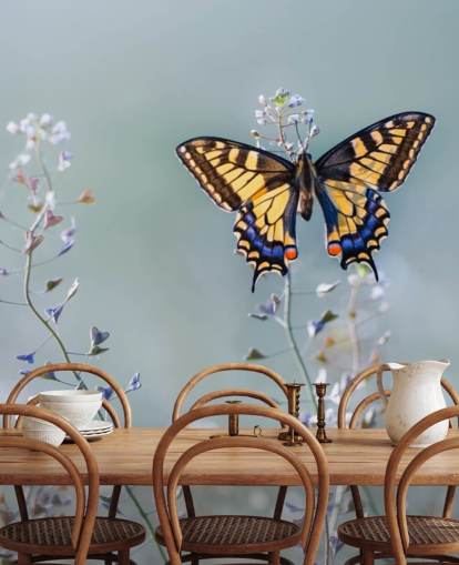orange and blue butterfly resting on flowers wallpaper