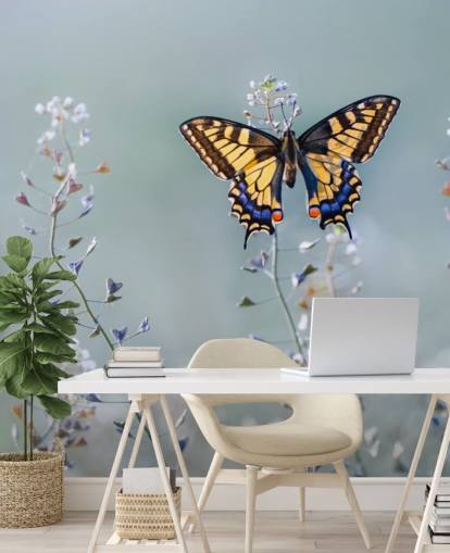 orange and blue butterfly resting on flowers wallpaper