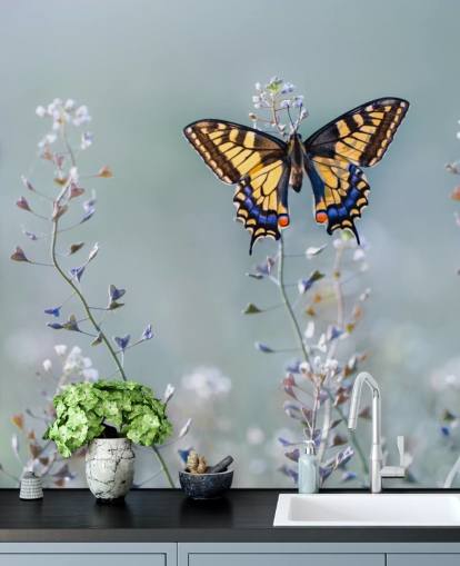 orange och blå fjäril vilar på blommor tapeter