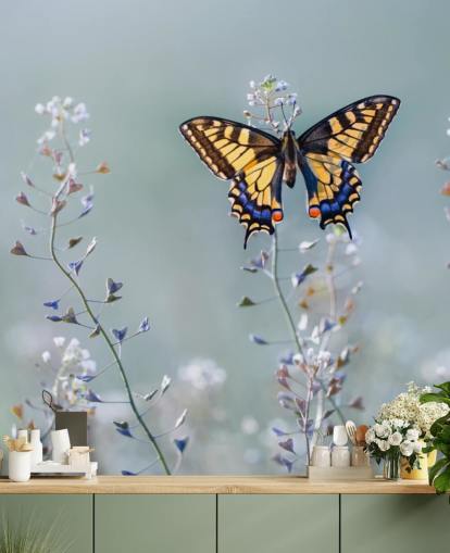 farfalla arancione e blu che poggia su carta da parati fiori farfalla arancione e blu che poggia su carta da parati fiori