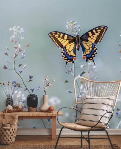 orange and blue butterfly resting on flowers wallpaper