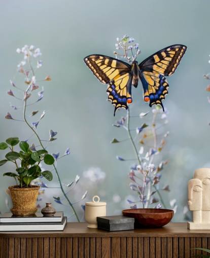 papier peint papillon orange et bleu reposant sur des fleurs