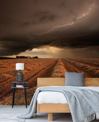 Decorazione murale con illuminazione sopra il campo di fieno