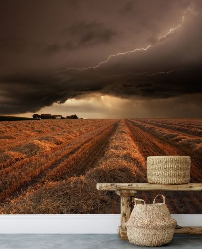 Decorazione murale con illuminazione sopra il campo di fieno Decorazione murale con illuminazione sopra il campo di fieno