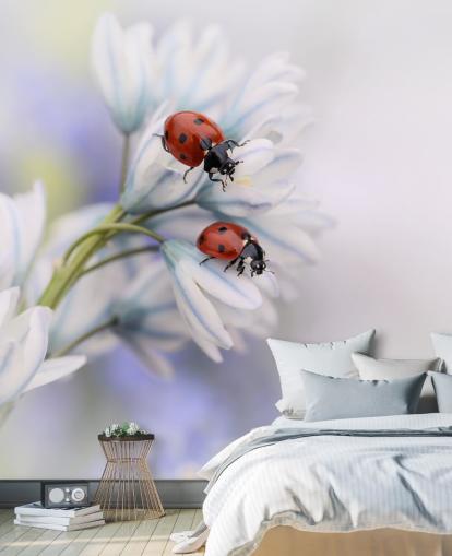 Mural de pared Mariquitas sobre flores blancas