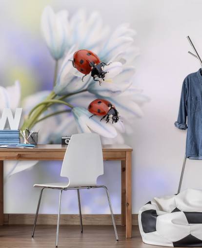 Ladybirds on White Flowers Wall Mural