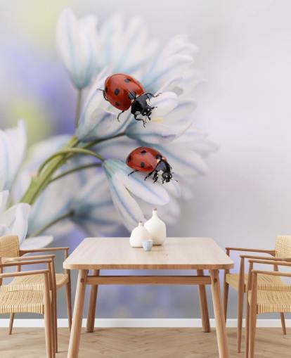 Marienkäfer auf weißen Blumen Fototapete