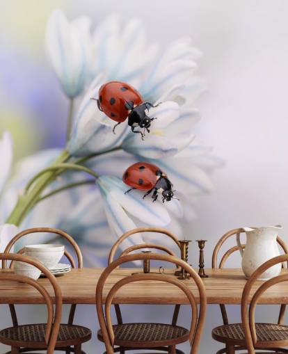 Mural de pared Mariquitas sobre flores blancas