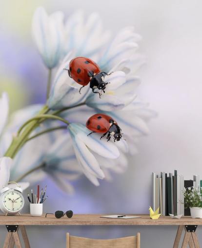 Ladybirds on White Flowers Wall Mural