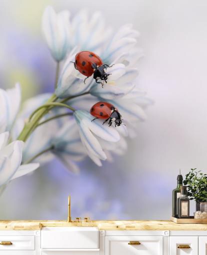 Marienkäfer auf weißen Blumen Fototapete