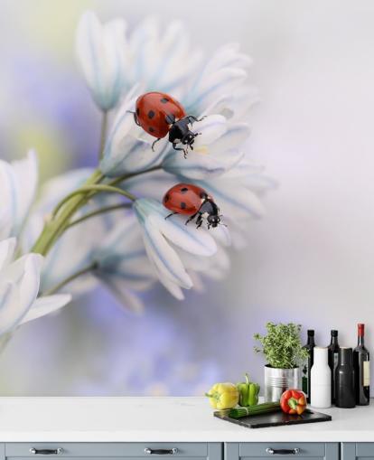 Ladybirds on White Flowers Wall Mural
