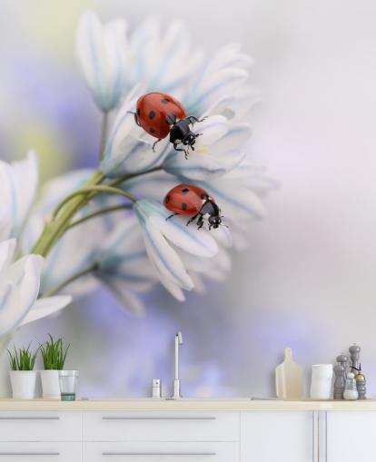 Ladybirds on White Flowers Wall Mural