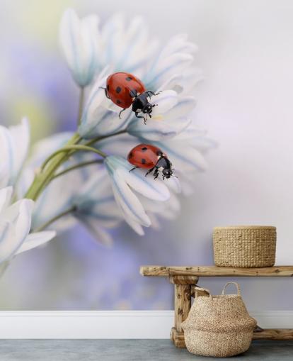 Ladybirds on White Flowers Wall Mural Ladybirds on White Flowers Wall Mural