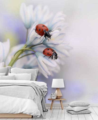 Ladybirds on White Flowers Wall Mural