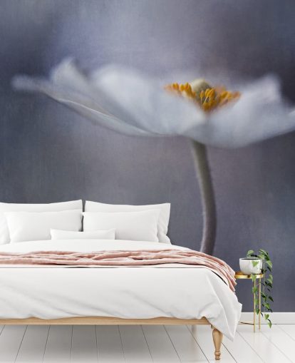 Fondo de pantalla de flores blancas