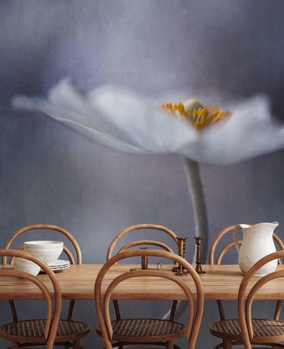 Papier peint gros plan de fleurs blanches Papier peint gros plan de fleurs blanches