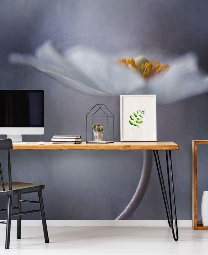 Nærbilde av hvit blomst tapet Nærbilde av hvit blomst tapet