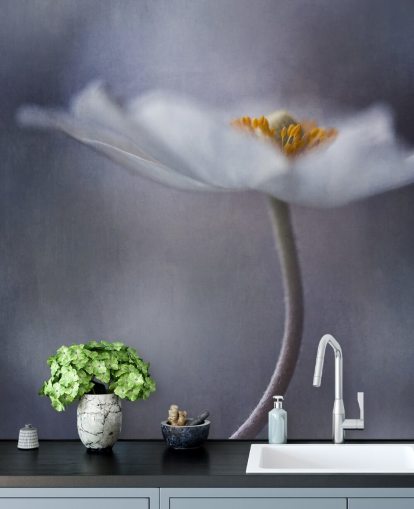 Close Up of White Flower Wallpaper