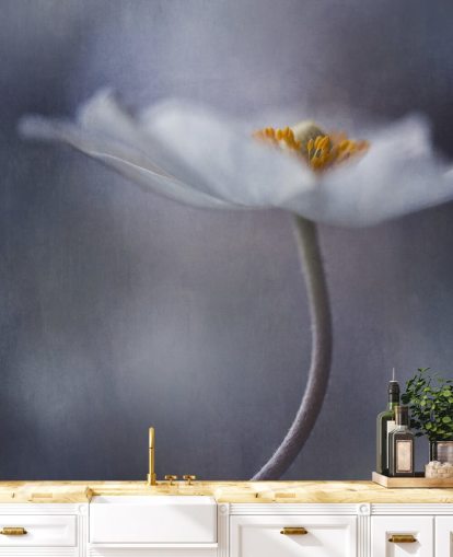 Nærbilde av hvit blomst tapet