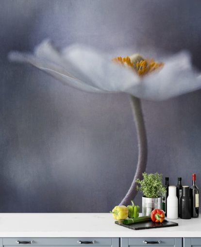 Papier peint gros plan de fleurs blanches Papier peint gros plan de fleurs blanches