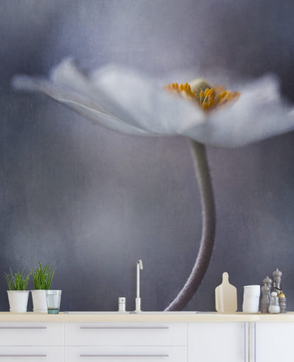 Close Up of White Flower Wallpaper