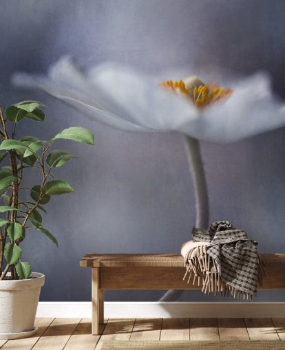 Papier peint gros plan de fleurs blanches