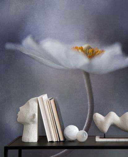 Close Up of White Flower Wallpaper