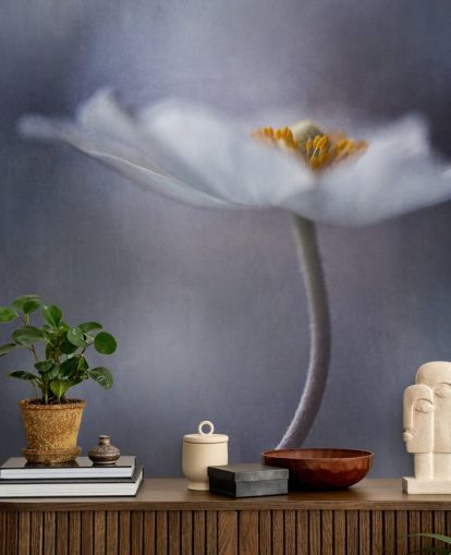 Close Up of White Flower Wallpaper