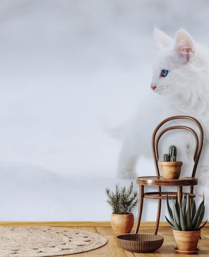 Hvit kattunge i Snow Wall Mural Hvit kattunge i Snow Wall Mural
