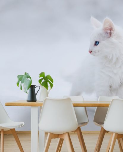 White Kitten in Snow Wall Mural