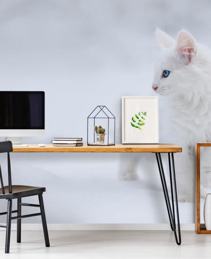 White Kitten in Snow Wall Mural