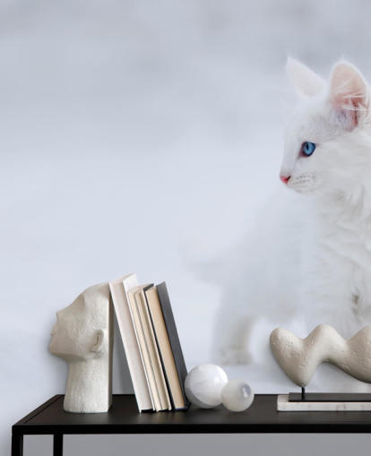 Decorazione murale con gattino bianco nella neve Decorazione murale con gattino bianco nella neve