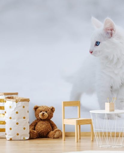 Hvit kattunge i Snow Wall Mural Hvit kattunge i Snow Wall Mural