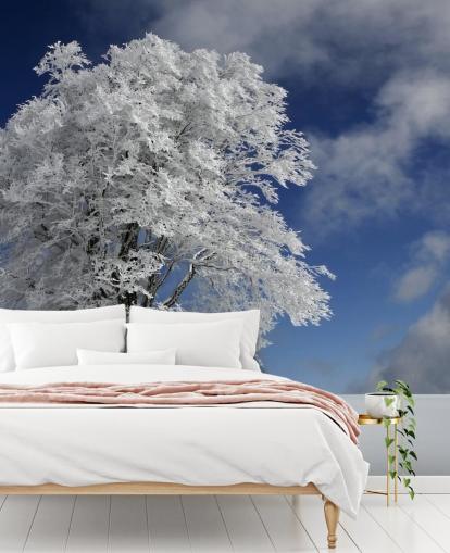 White Windbuche in Black Forest Wall Mural White Windbuche in Black Forest Wall Mural