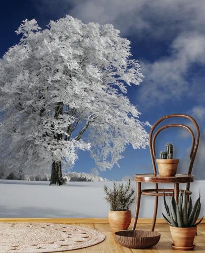 White Windbuche in Black Forest Wall Mural White Windbuche in Black Forest Wall Mural