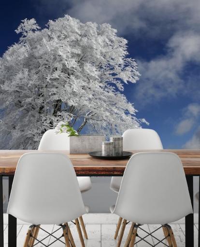 Windbuche branco no mural da parede da floresta negra