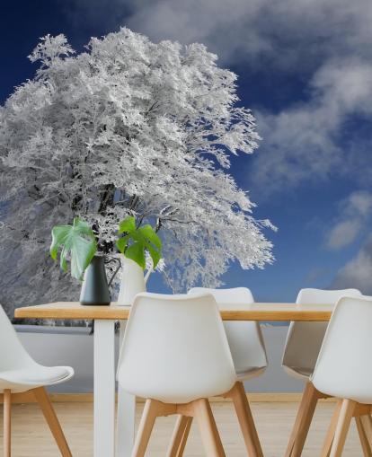 Witte windbuche in muurschildering van het Zwarte Woud