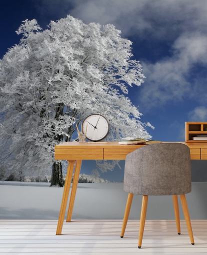 Hvit Windbuche i Schwarzwald Wall Mural