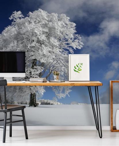 White Windbuche in Black Forest Wall Mural