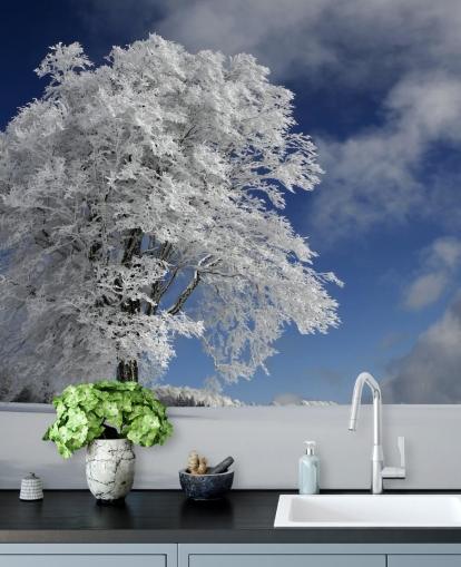 Decorazione murale con buco del vento bianco nella foresta nera