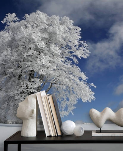 Hvit Windbuche i Schwarzwald Wall Mural