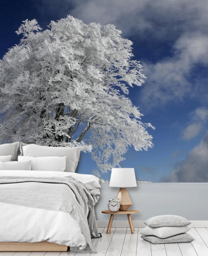 White Windbuche in Black Forest Wall Mural