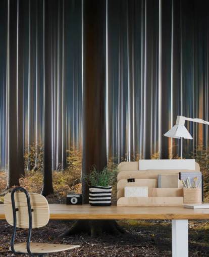 Gleaming Forest Tree Trunks Wallpaper